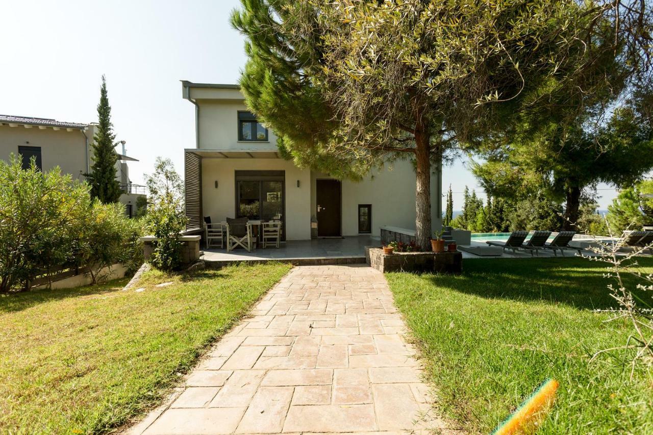 Olivia Estate Villa With Private Swimming Pool Елия Екстериор снимка