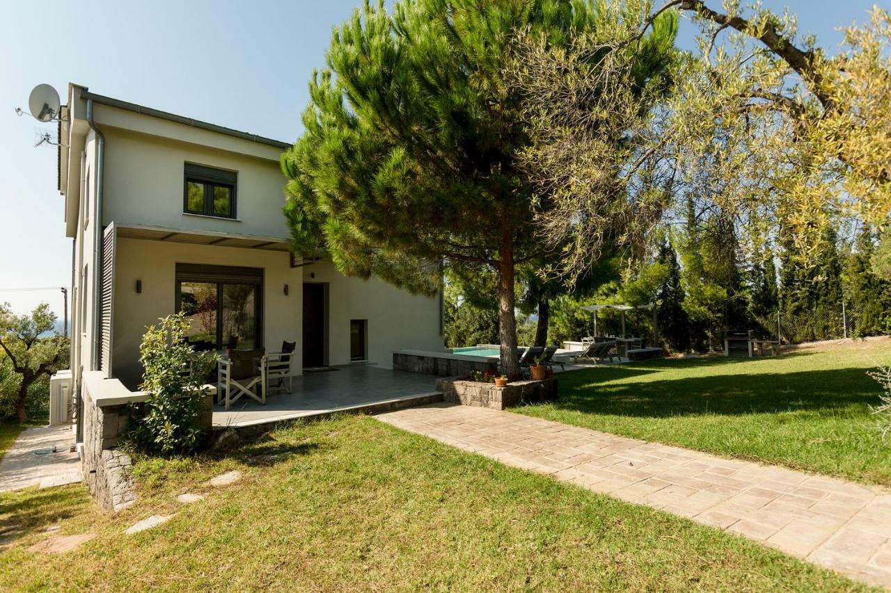 Olivia Estate Villa With Private Swimming Pool Елия Екстериор снимка