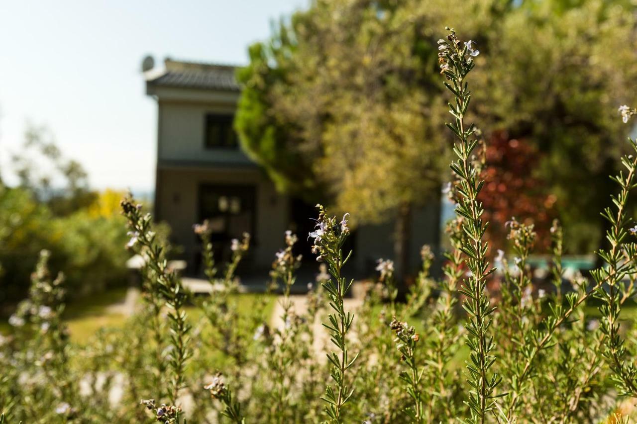 Olivia Estate Villa With Private Swimming Pool Елия Екстериор снимка